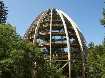 Wohlfühlen - 4 vitale Tage Auszeit im Bayerischen Wald  mit Massage