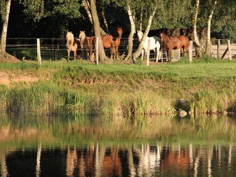 Wellness-Woche am See 