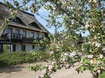 Wellness-Woche am See 