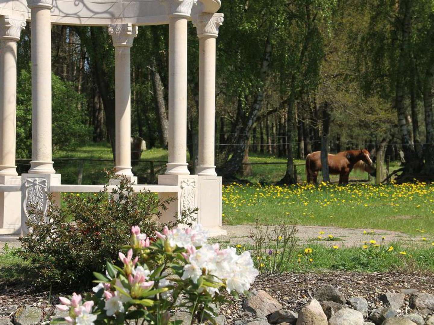 Wellness-Woche am See 