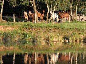 Romantische Kuscheltage an der Seenplatte 