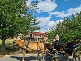 Kurzurlaub an der Mecklenburgischen Seenplatte