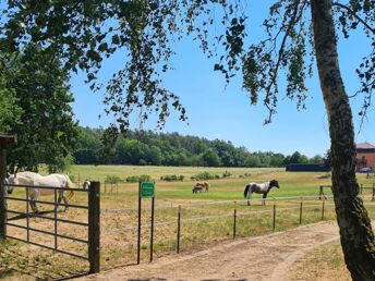 Wellness-Woche am See 