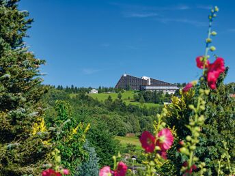 Willkommen im Vogtland I 3 Tage im Ferienappartement