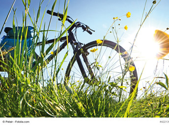 Bild 20 von 26
