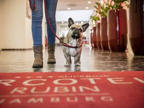 „Hanseatischer Kurzurlaub in Hamburg | 4 Tage im zentrumsnahen 4****S Hotel