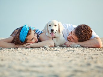 Entdecken Sie Rostock – Ihr Hund und Sie im perfekten Kurzurlaub!