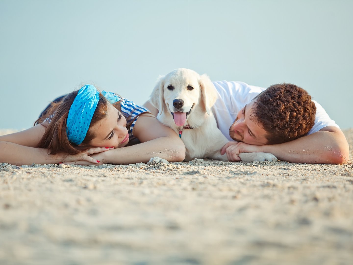 Entdecken Sie Rostock – Ihr Hund und Sie im perfekten Kurzurlaub!
