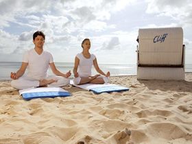 Ahorn - Buche - Igel an der Ostsee 
