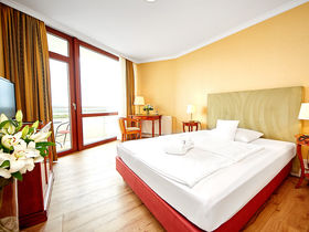 Ahorn - Buche - Igel an der Ostsee 