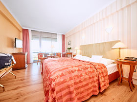 Ahorn - Buche - Igel an der Ostsee 