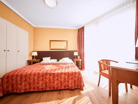 Ahorn - Buche - Igel an der Ostsee 