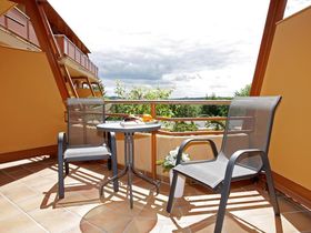 Ahorn - Buche - Igel an der Ostsee 