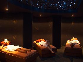 Ahorn - Buche - Igel an der Ostsee 