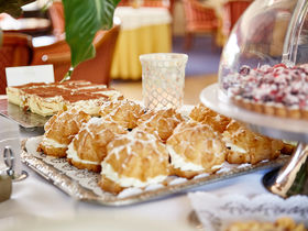 Ahorn - Buche - Igel an der Ostsee 