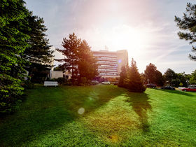 Ahorn - Buche - Igel an der Ostsee 