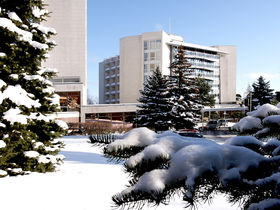 Ahorn - Buche - Igel an der Ostsee 