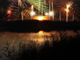 Ahorn - Buche - Igel an der Ostsee 