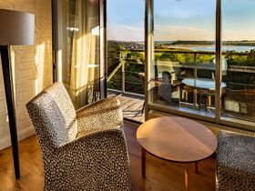 Ahorn - Buche - Igel an der Ostsee 