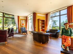 Ahorn - Buche - Igel an der Ostsee 