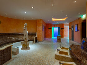 Ahorn - Buche - Igel an der Ostsee 