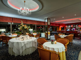 Ahorn - Buche - Igel an der Ostsee 