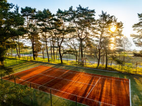 Ahorn - Buche - Igel an der Ostsee 