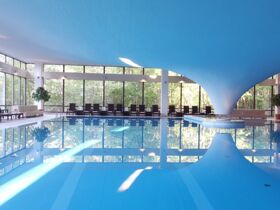 Ahorn - Buche - Igel an der Ostsee 