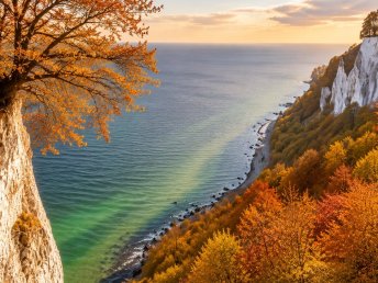 Ahorn, Buche, Igel – Herbstzauber auf Rügen