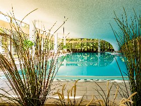 Ahorn - Buche - Igel an der Ostsee 