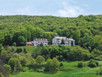 Pfälzer Weinberge für 3 Tage