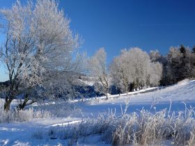 Genießer Tage im Sauerland in Willingen - 3 Tage | 2026