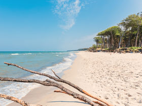Kurzurlaub an der Ostsee inkl. Halbpension