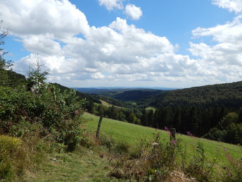 2 Tage Auszeit im Sauerland inklusive Abendessen
