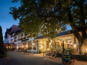 Romantik unter Palmen - inkl. Therme Sinsheim