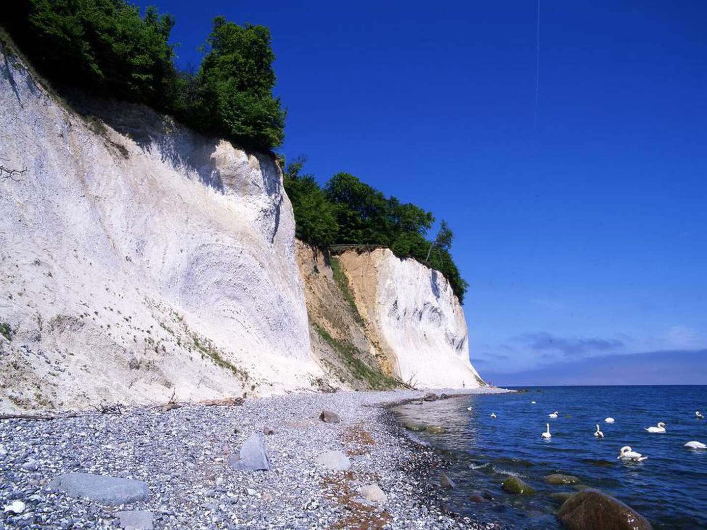 Fellnasen auf die Insel Rügen