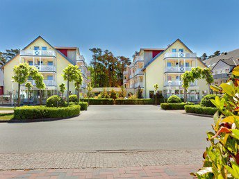 Fellnasen auf die Insel Rügen
