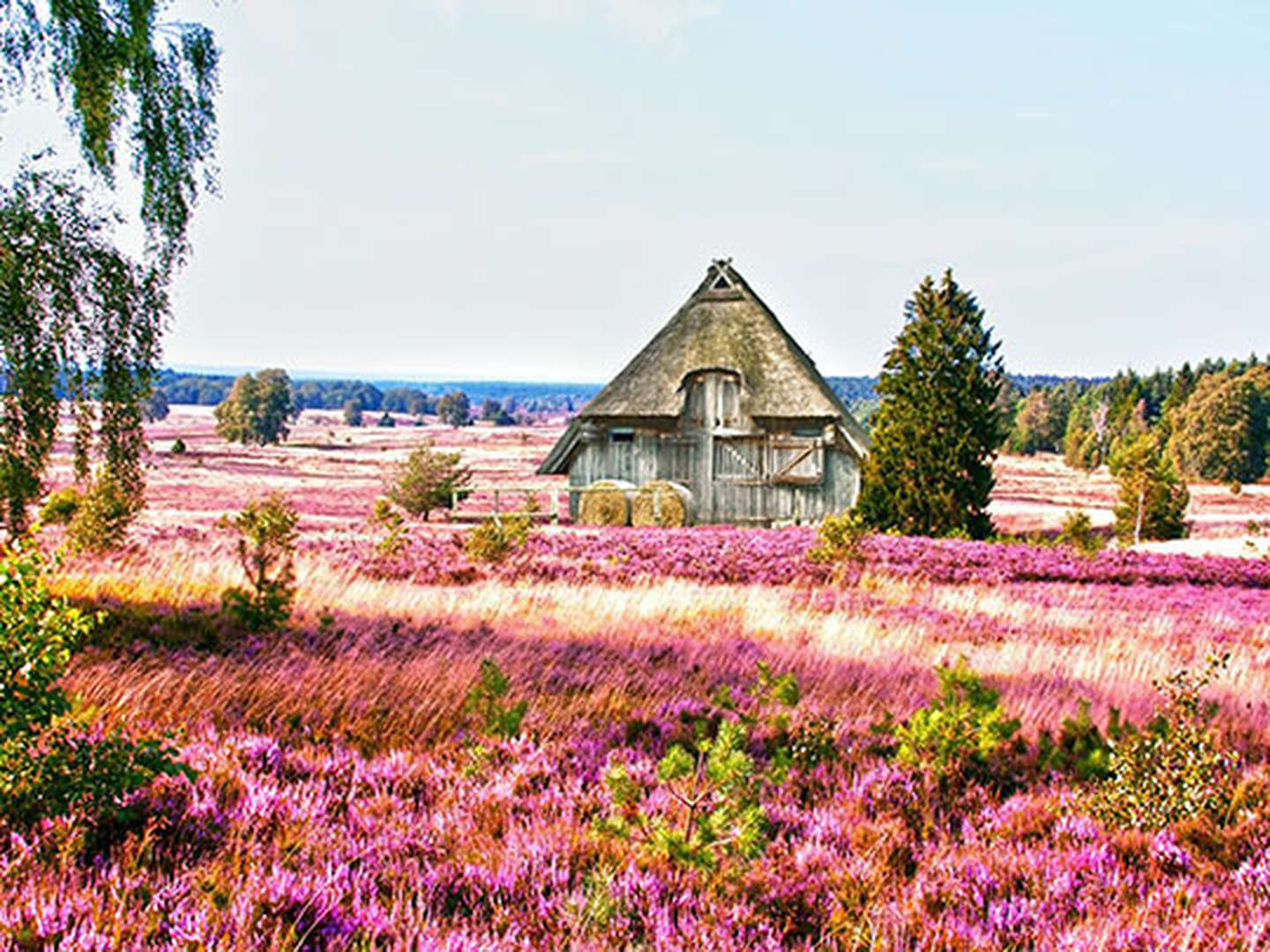 5*-Exklusiv-Kurzurlaub in der Lüneburger Heide | 2 Tage