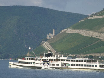 Rhein- 