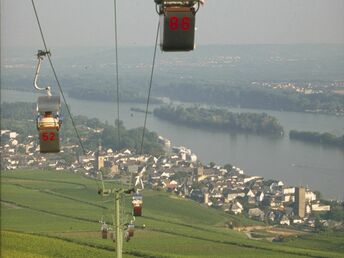 Rhein- 