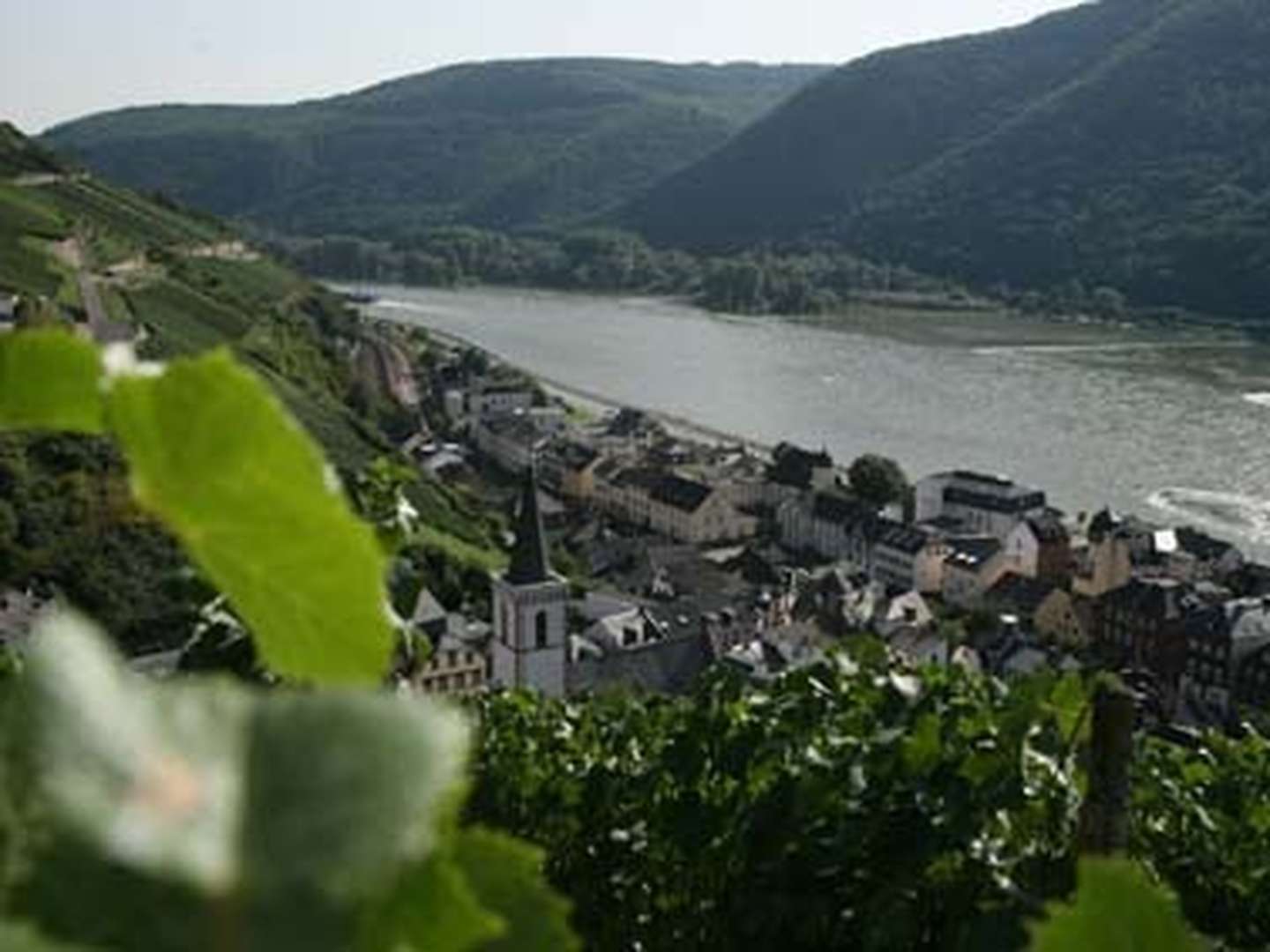 Rhein- 
