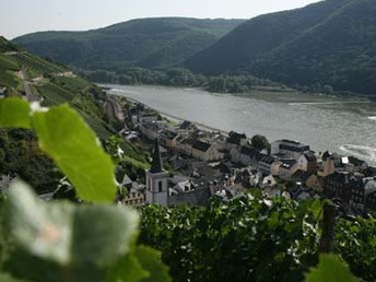 Rhein- 