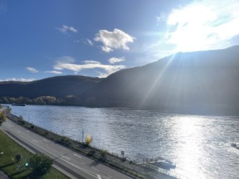 Rhein- 