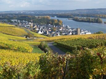 4 Tage Wandern auf dem berühmten Rheinsteig entlang Rhein und Reben 