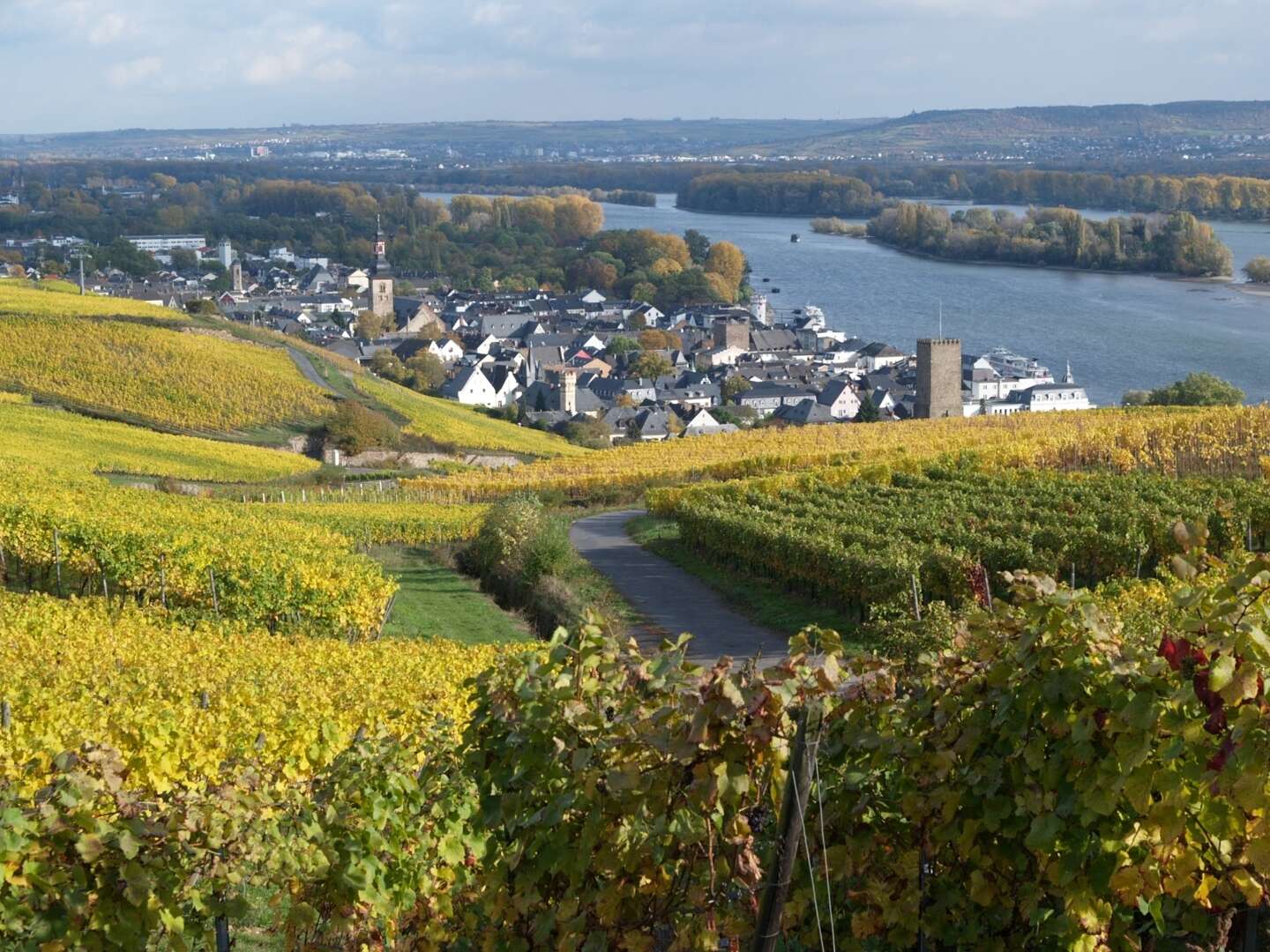 4 Tage Wandern auf dem berühmten Rheinsteig entlang Rhein und Reben 