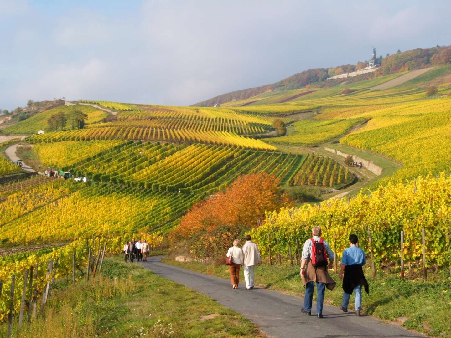 4 Tage Wandern auf dem berühmten Rheinsteig entlang Rhein und Reben 