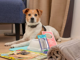 Sleep & Relax - 3 Tage Wellness-Auszeit mit Stil - Mercure und Carolus Thermen