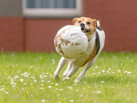 Sleep & Relax - 3 Tage Wellness-Auszeit mit Stil - Mercure und Carolus Thermen
