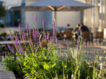 Last Minute! 3 Tage Kurzurlaub an der Ostsee auf Usedom inkl. Dinner