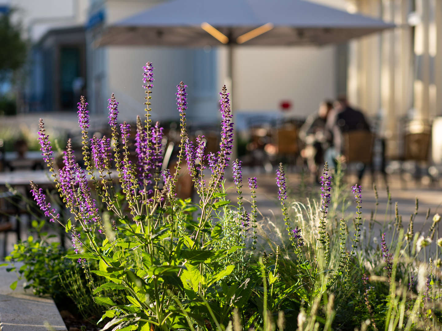 Last Minute! 3 Tage Kurzurlaub an der Ostsee auf Usedom inkl. Dinner